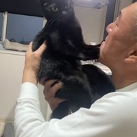 抱っこされる猫の写真2