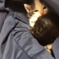 ギュウギュウ