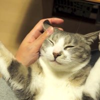 目を閉じてバンザイ