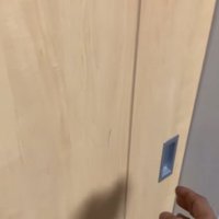 ドアと保護主の手