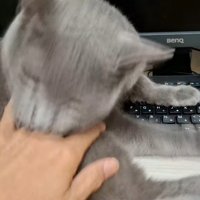 咬みつき中