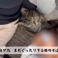 テロップ「その後夕方、まだぐったりする～」