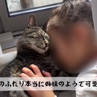 姉妹のようなふたり