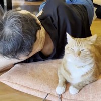 座布団の上