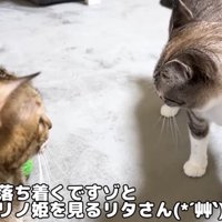 リタさんに諭されるリノ姫