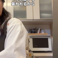 キッチンの飼い主さんの背中