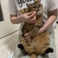 おやつ作戦決行