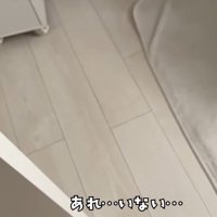 あれ…いない…