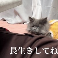 「長生きしてね」のテロップ写真1