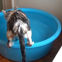 後ろ姿(両足をフチに)