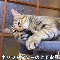 いつものリタさん