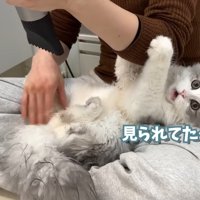 見られてた…！