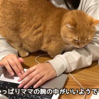 テロップ「やっぱりママの～」