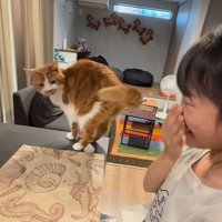芸をする猫