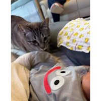 猫と赤ちゃん