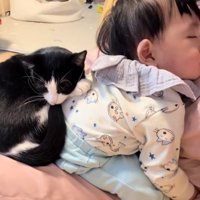 飼い主さんの膝の上で寝ている顔がやや見切れた赤ちゃんに乗っかっている猫