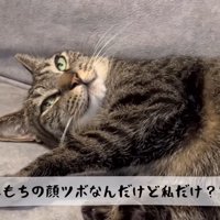 顔のアップ