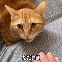 ただいま