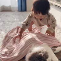 子どもにブランケットをかけてもらう猫