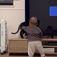 手を伸ばす赤ちゃん