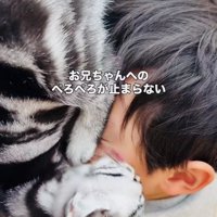 お兄ちゃんの顔を舐める子猫