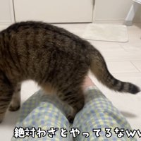テロップ「絶対わざと～」