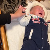 赤ちゃんの枕で寝る猫