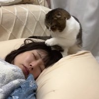 ママを再び起こすぽこ太郎くん