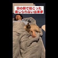 幸せすぎる…