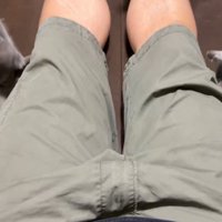 投稿主の短パンの紐を引っ張る2匹の子猫の様子