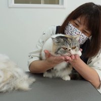 大量の抜け毛と