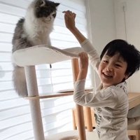 猫に向けて手を伸ばす男の子
