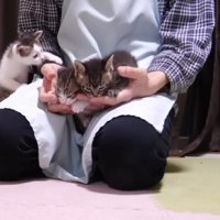 手に吸いつくふたり