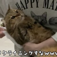 リクライニングする