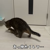 「あっ仲良くして...」のテロップ写真