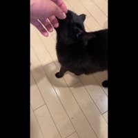 顔をなでなで
