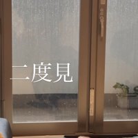 テーブルの角の横を通り過ぎようとしているカメラ目線の猫