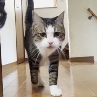 降りてきたおでこ