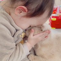 顔を寄せる女の子と猫