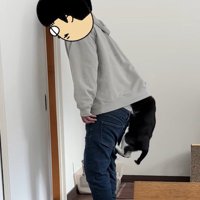 飼い主の脚をよじ登る猫