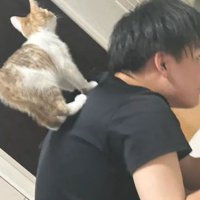 男性と猫