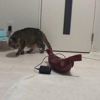 見つめながら歩いて
