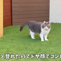 ドヤ顔でコント終了