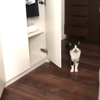 鳴いているおむすびちゃん