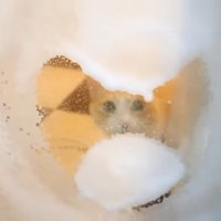 泡とロビンくん