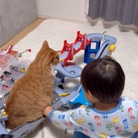 カーブを曲がる車