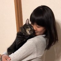 顔をすり寄せる猫4