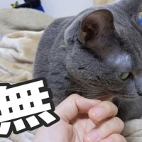 「無」と書かれた写真
