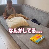 ソファーの上にいる猫と赤ちゃん
