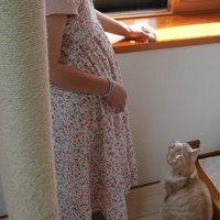 人におもちゃで遊んでもらっている猫